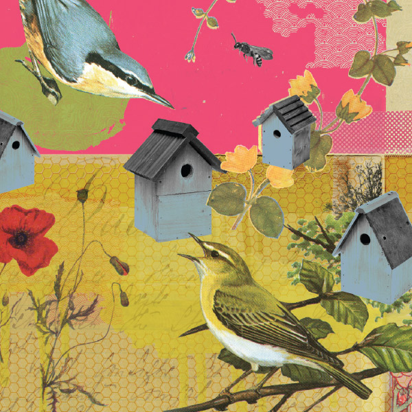 illustration of birds and bird houses