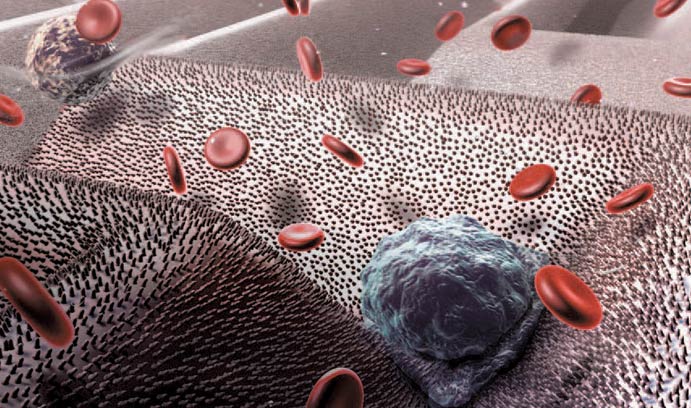 Rendering of Professor Liu's chip device capturing a cancer cell