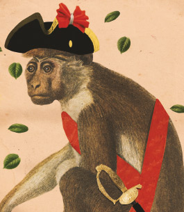 Illustration of monkey with pirate hat
