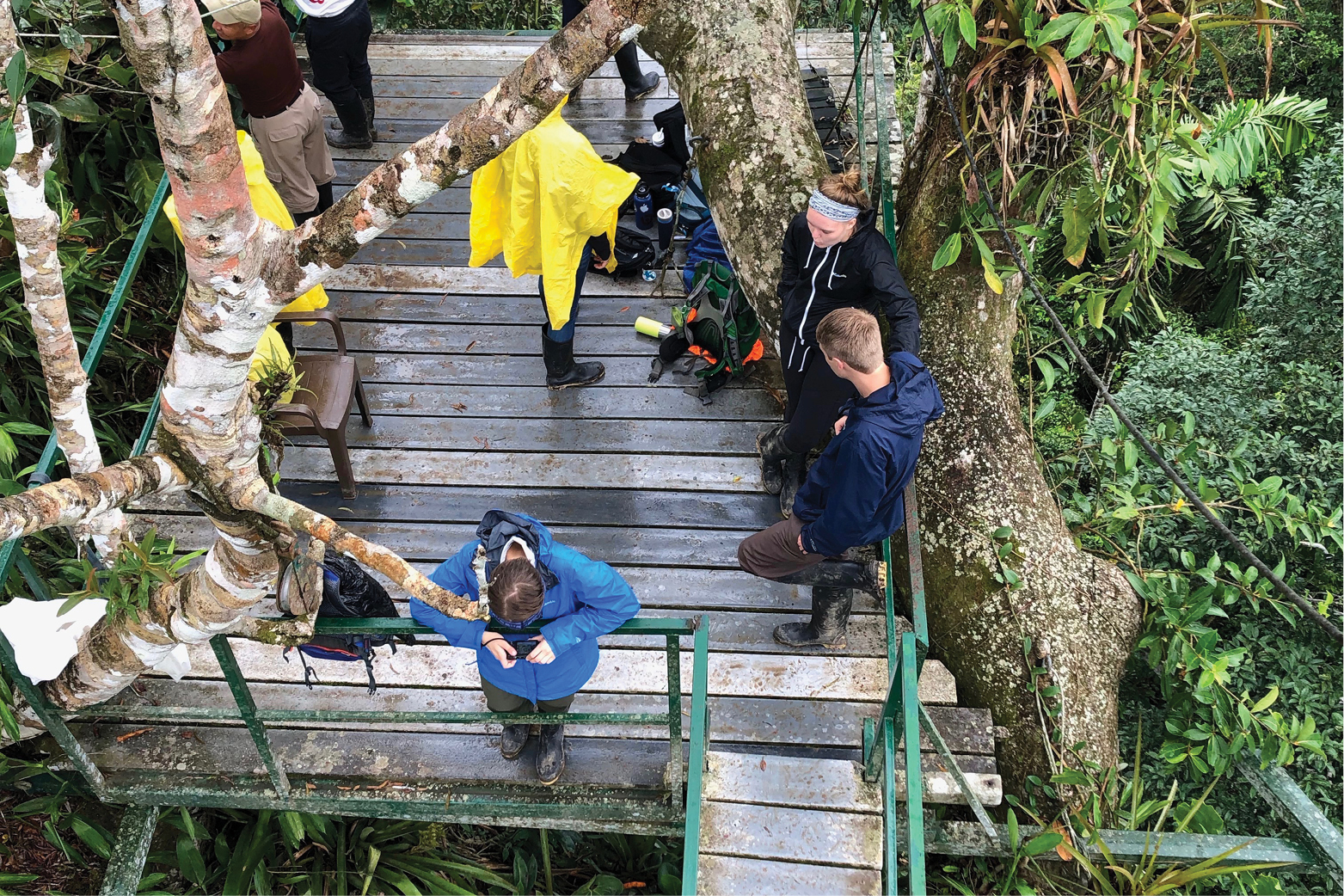 Students birdwatching at the Tiputini Biodiversity Station in the Amazon