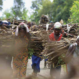 Women carrying branches