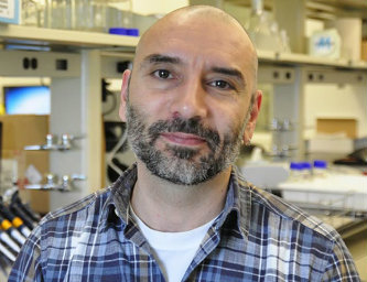 Javier Buceta, associate professor of bioengineering at Lehigh University