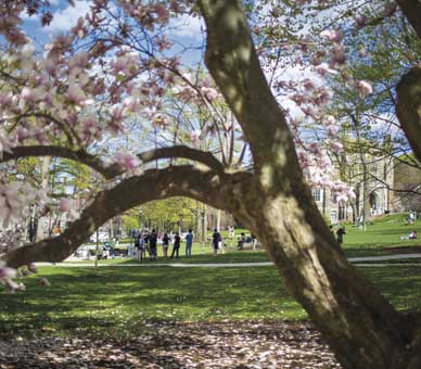 Lehigh campus