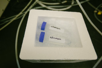 Silicatein samples in Muhannad Suleiman's Lehigh lab