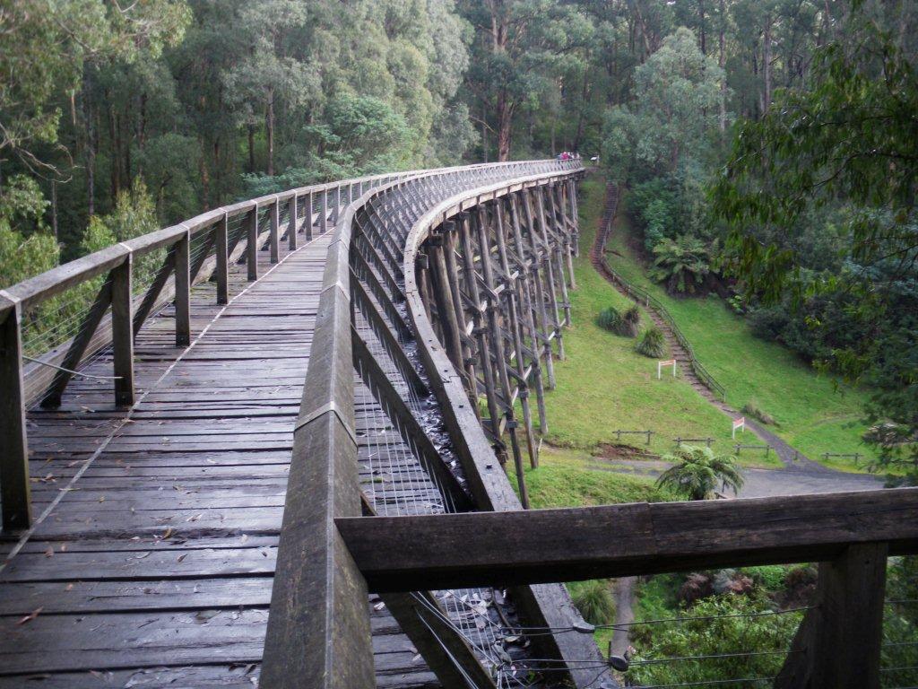 Timber bridge inspected by Lay