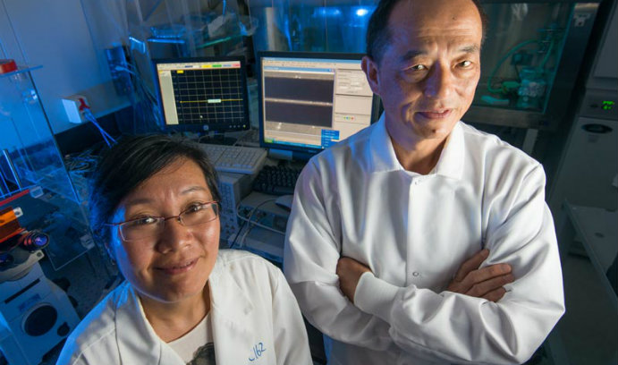 Xuanhong Cheng and James Hwang in laboratory