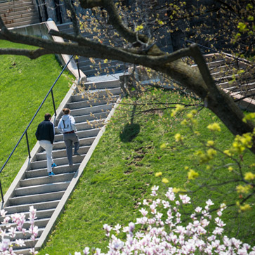 Steps on Asa Packer campus